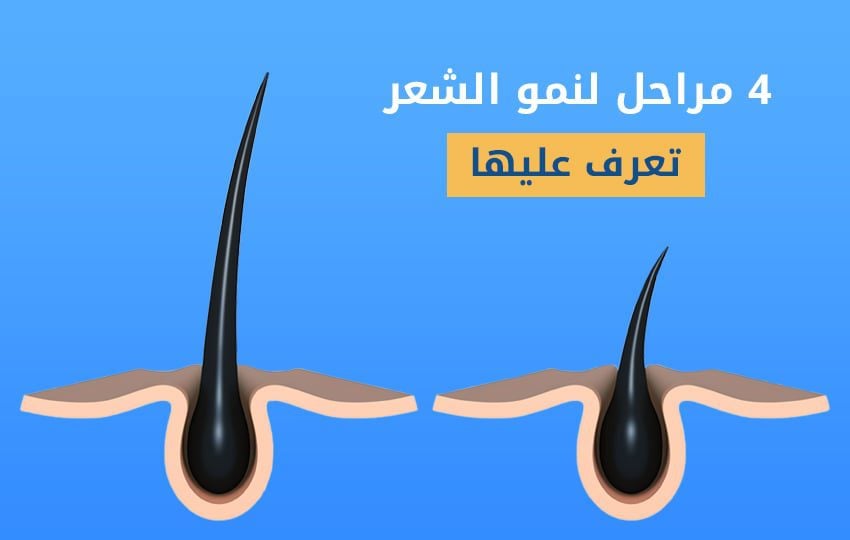 يمر الشعر ب 4 مراحل ليصل لطور الشعرة الطبيعية، تعرف على مراحل نمو الشعر مع إليت هير
