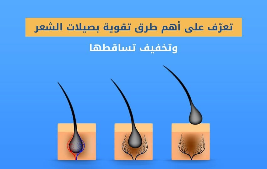 طرق تقوية بصيلات الشعر للحصول على شعر صحي وقوي