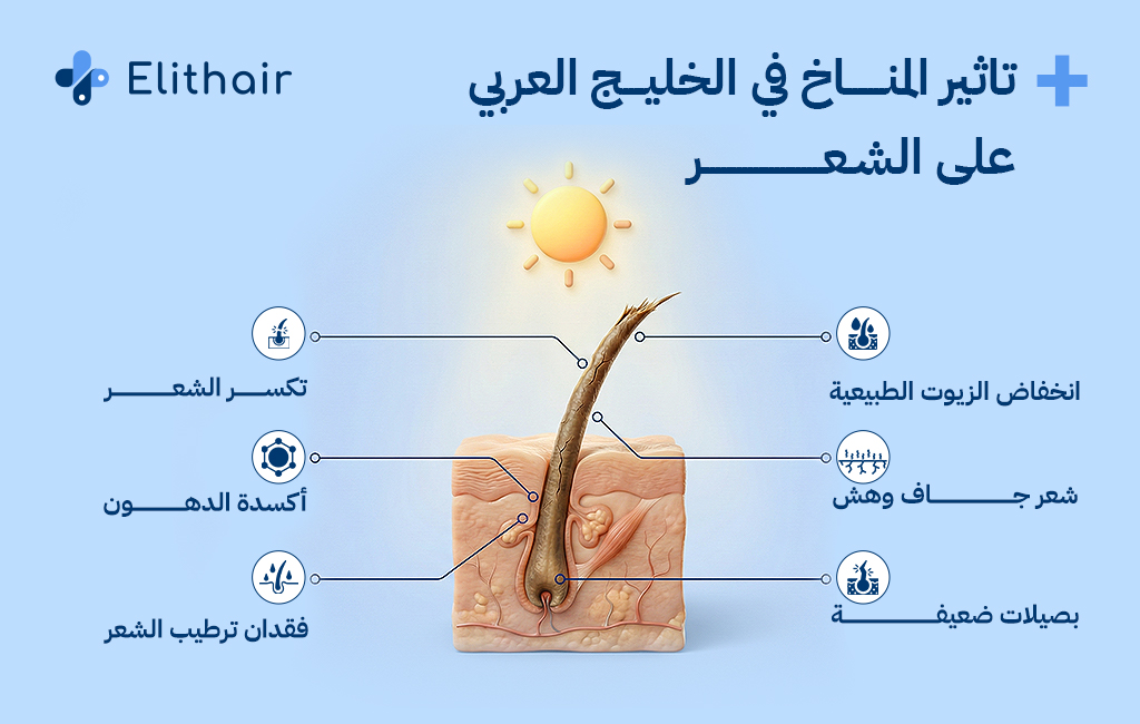 تأثير المناخ في الخليج العربي على الشعر - مركز اليت هير لزراعة الشعر