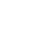 Play Icon