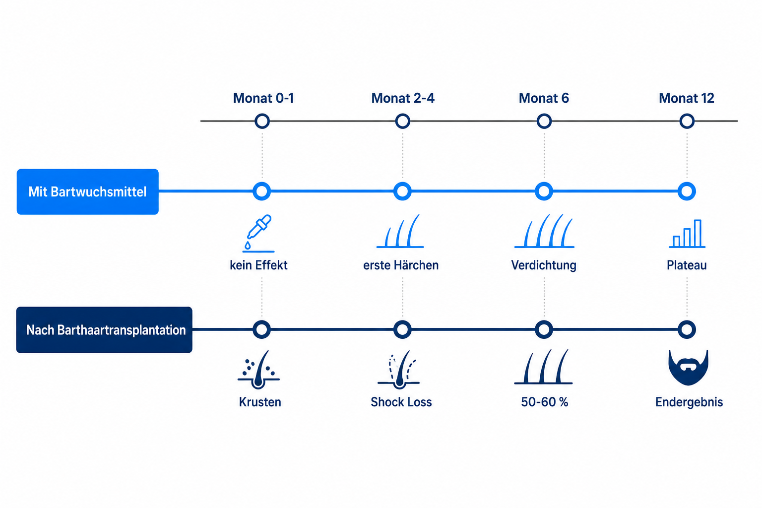 Timeline-Infografik Bartwuchs mit Bartwuchsmittel im Vergleich zur Barthaartransplantation von Monat 0 bis 12