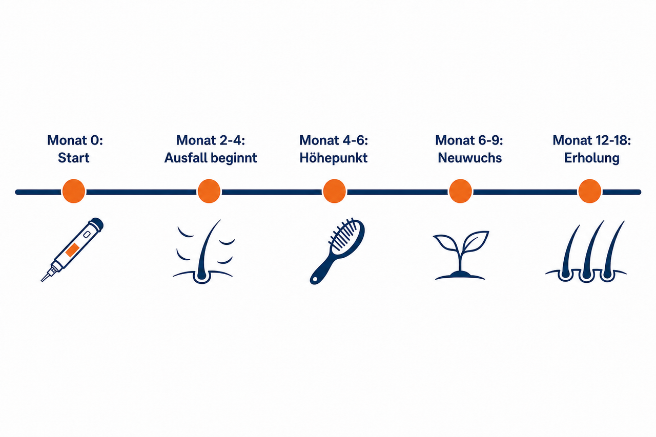 Zeitstrahl des Haarausfalls unter Abnehmspritzen: Beginn nach 2 bis 4 Monaten, Höhepunkt nach 4 bis 6 Monaten, Neuwuchs ab Monat 6 bis 9, Erholung nach 12 bis 18 Monaten