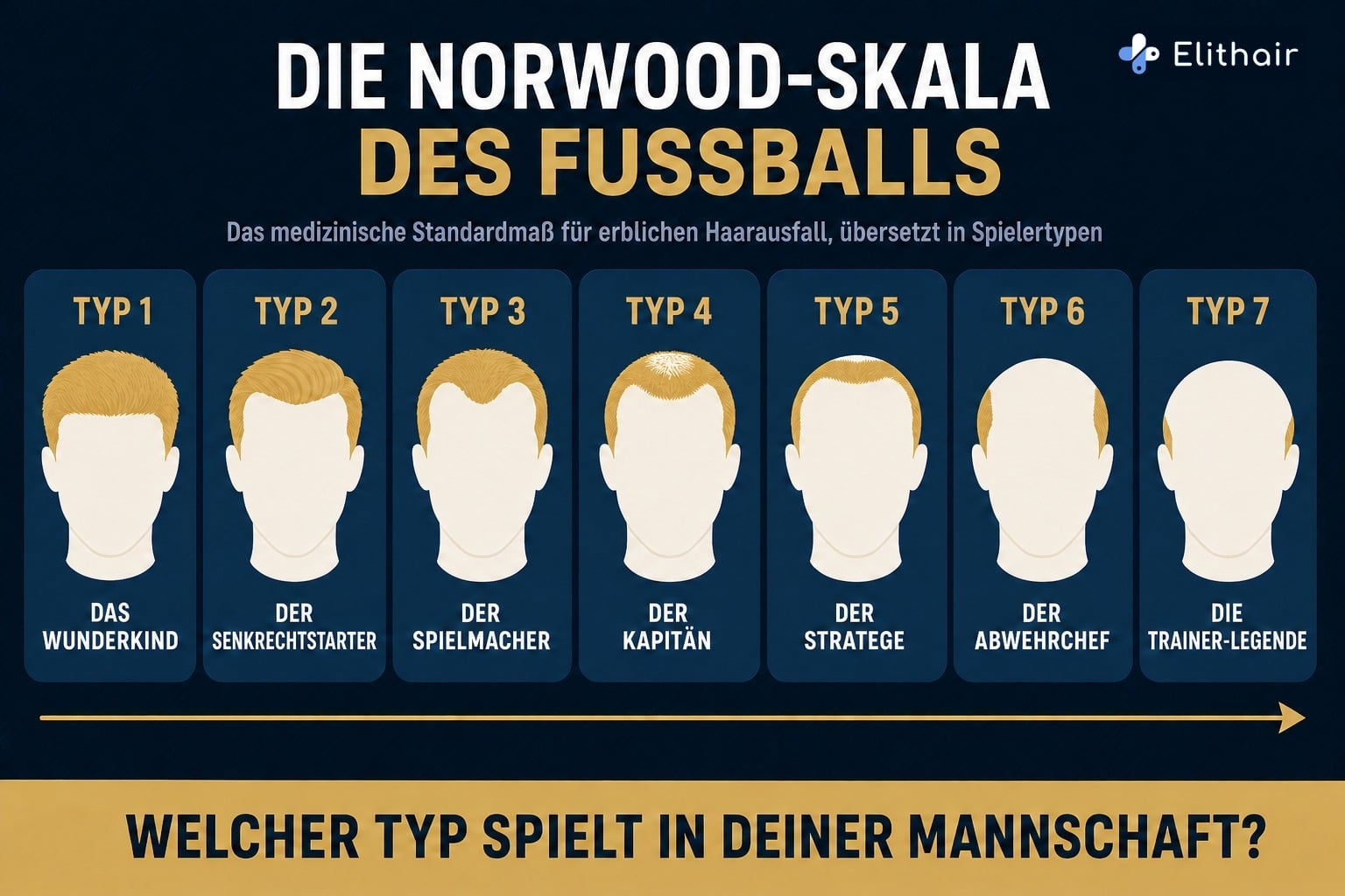 Infografik: Die Norwood-Skala des Fußballs, sieben Spielertypen vom Wunderkind bis zur Trainer-Legende