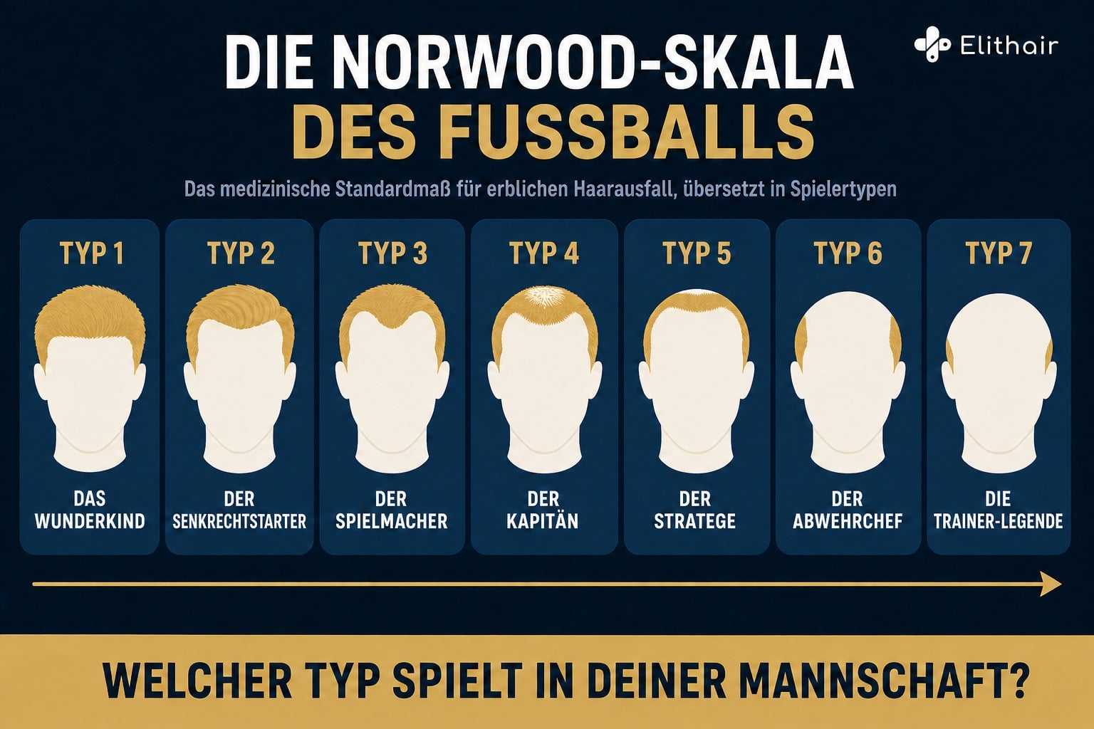 Infografik: Die Norwood-Skala des Fußballs, sieben Spielertypen vom Wunderkind bis zur Trainer-Legende