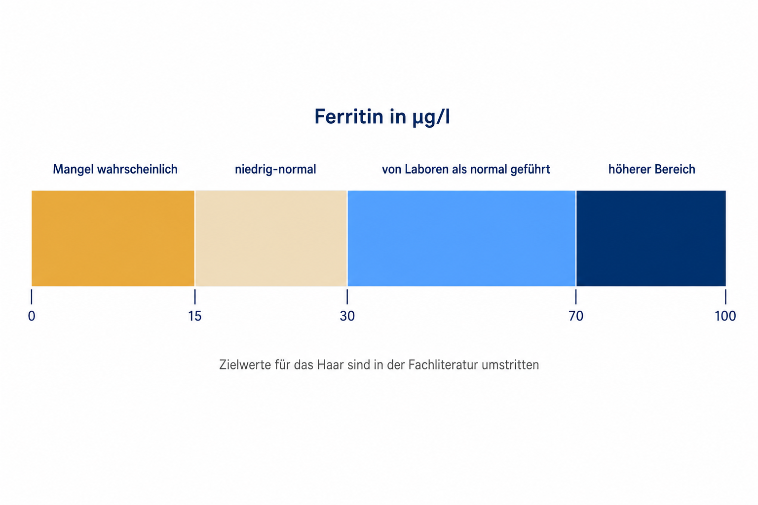 Skala der Ferritinbereiche in Mikrogramm pro Liter mit Hinweis auf die umstrittenen Zielwerte für das Haar