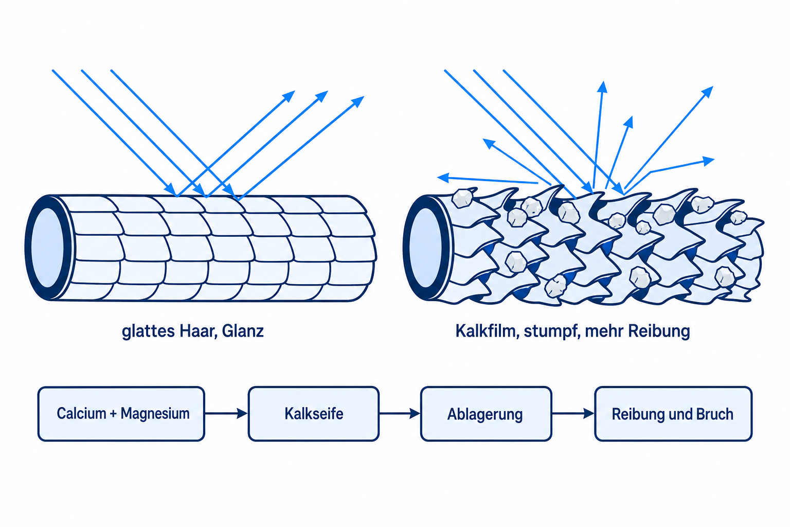Illustration: Haarschaft mit glatter Schuppenschicht gegenüber Haarschaft mit Kalkfilm aus hartem Wasser