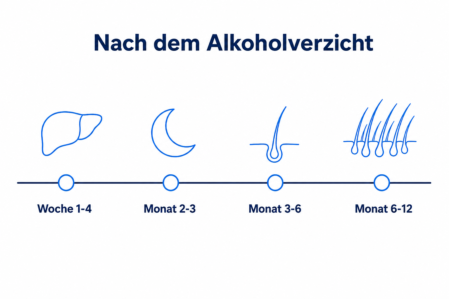Zeitachse nach dem Alkoholverzicht mit vier Stationen von Woche 1 bis Monat 12 und zunehmender Haardichte