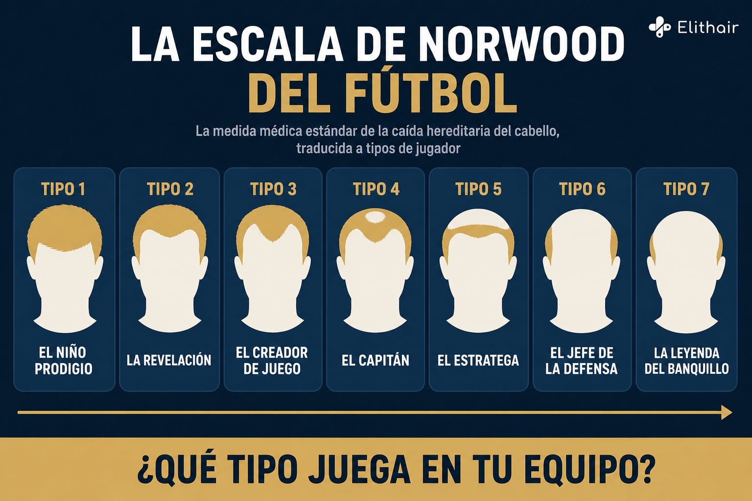 Infografía: la escala de Norwood del fútbol, siete tipos de jugador desde el niño prodigio hasta la leyenda del banquillo