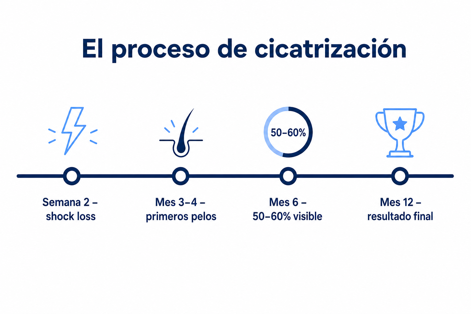 Evolución de la cicatrización tras un injerto capilar, desde el shock loss hasta el resultado final a los doce meses