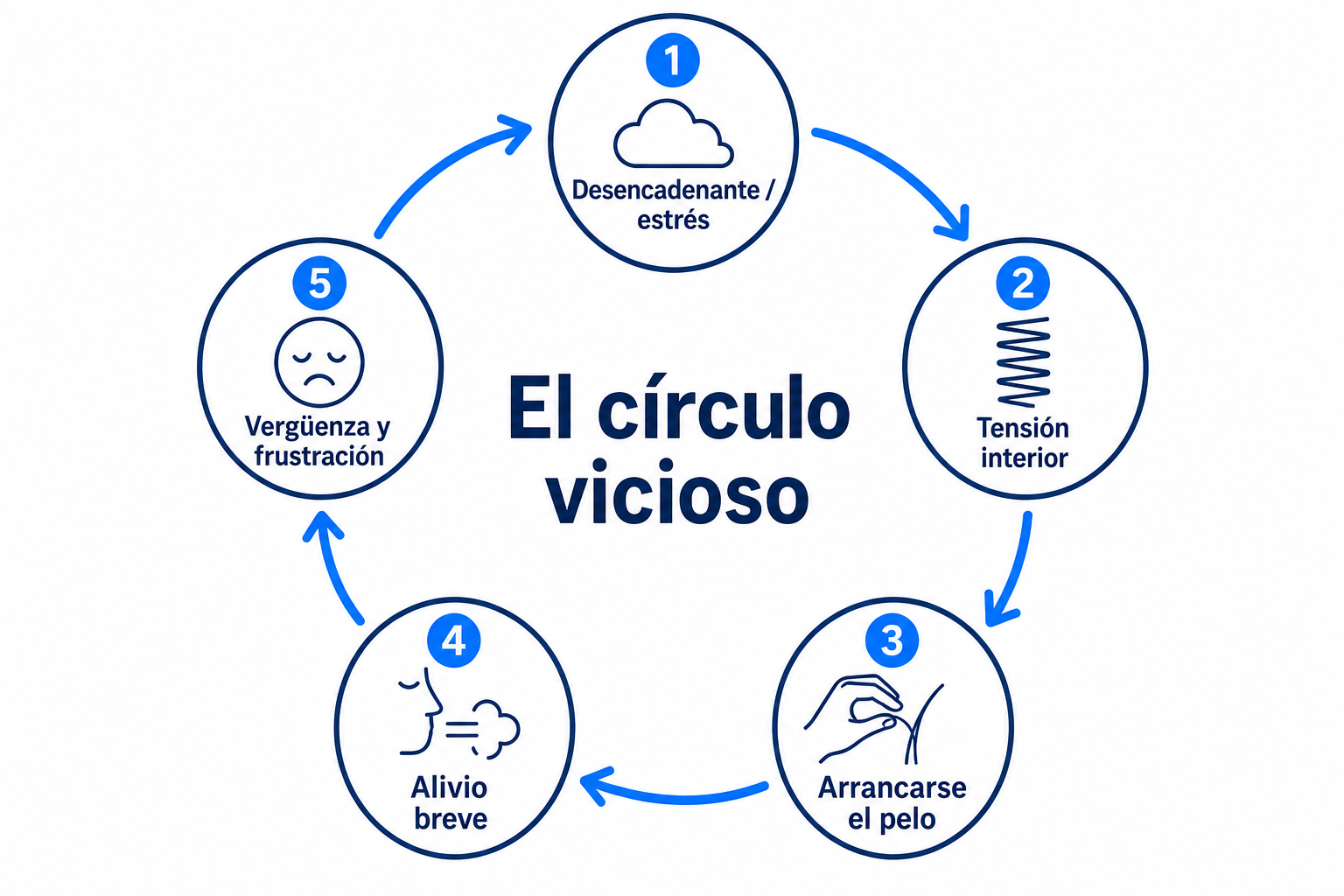 Gráfico circular del círculo vicioso de la tricotilomanía: desencadenante, tensión, arrancamiento, alivio, vergüenza