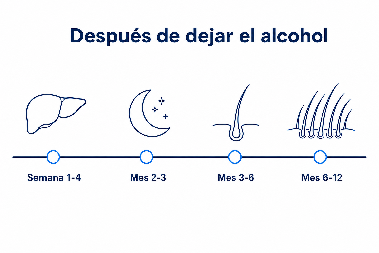 Línea de tiempo tras dejar el alcohol, con cuatro estaciones de la semana 1 al mes 12 y una densidad capilar creciente