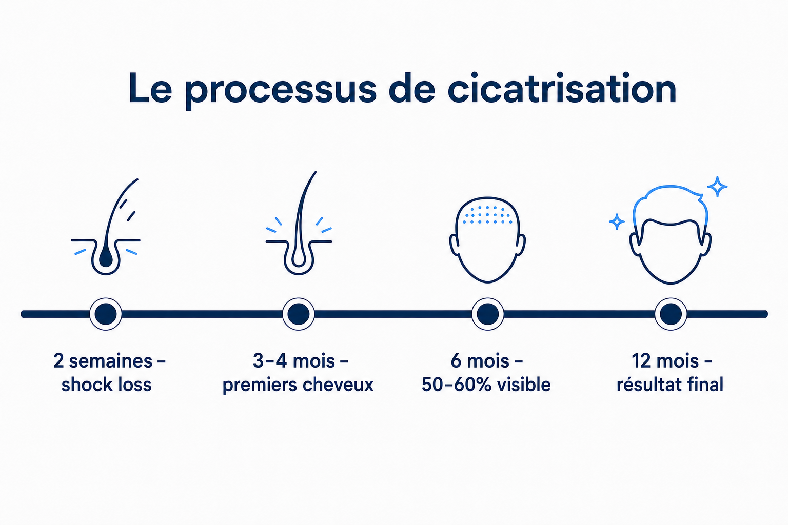 Processus de cicatrisation après une greffe de cheveux, du shock loss au résultat final après douze mois