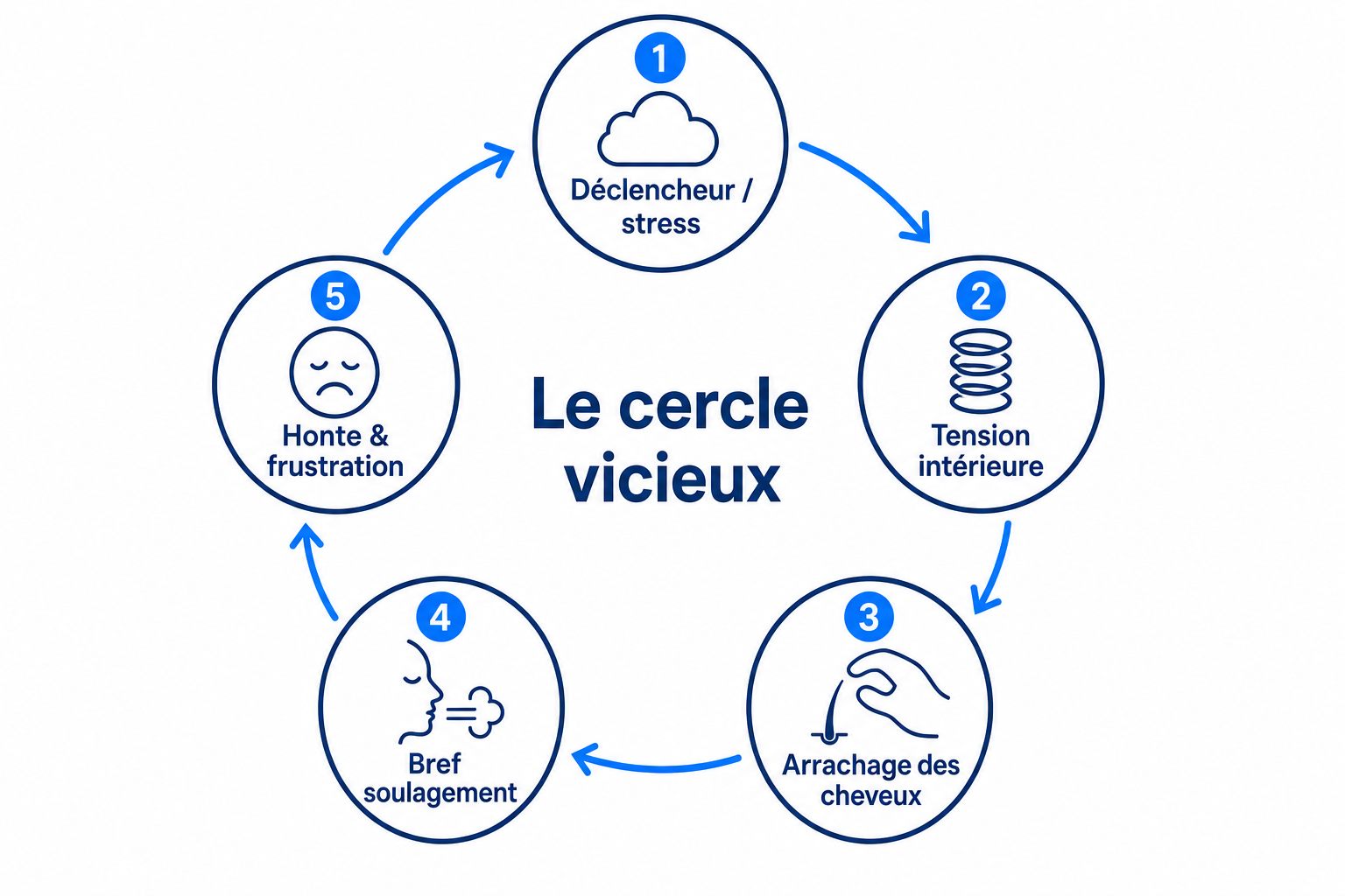 Graphique en cercle du cercle vicieux de la trichotillomanie : déclencheur, tension, arrachage, soulagement, honte