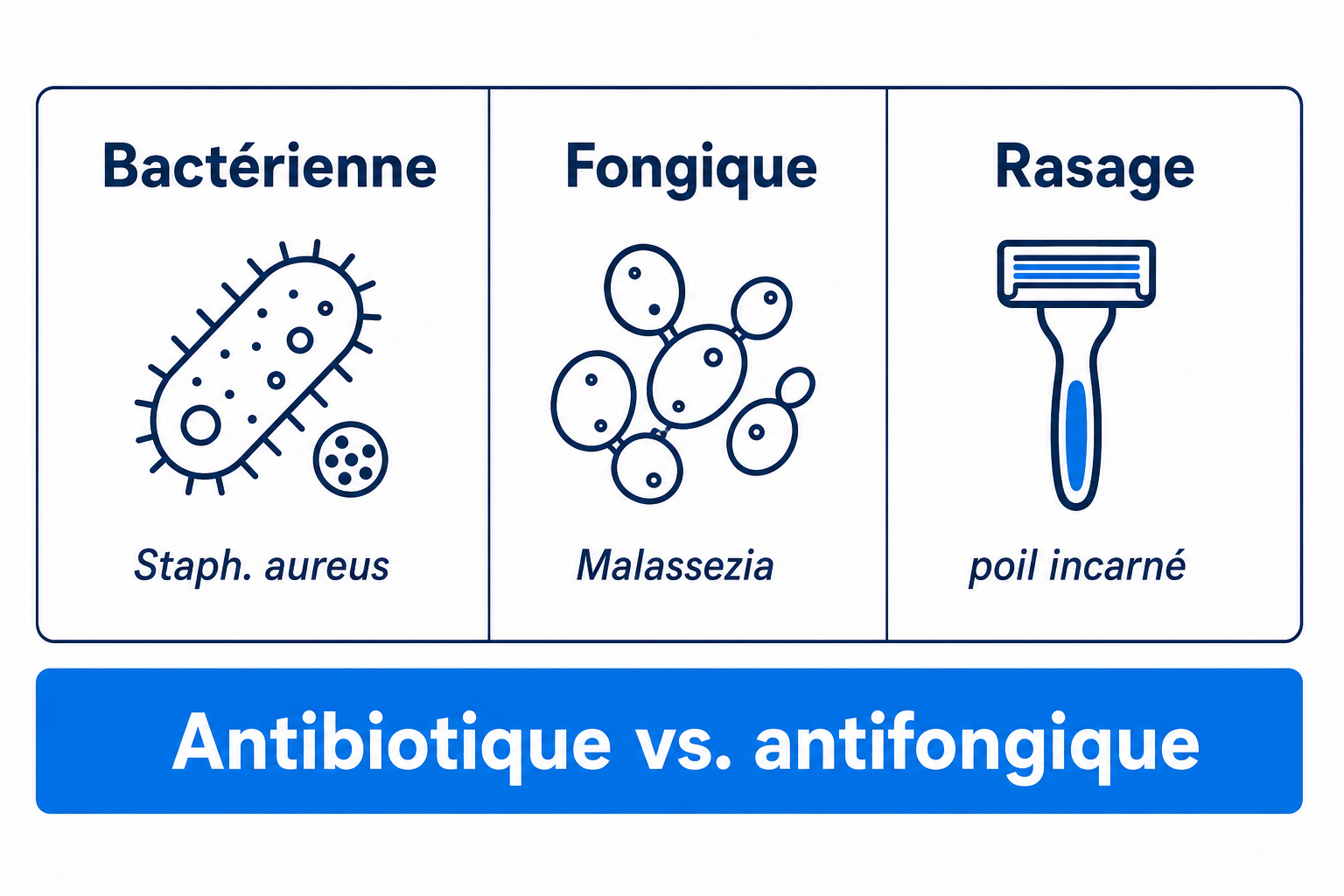 Comparaison des trois types de folliculite les plus fréquents : bactérienne, fongique et liée au rasage