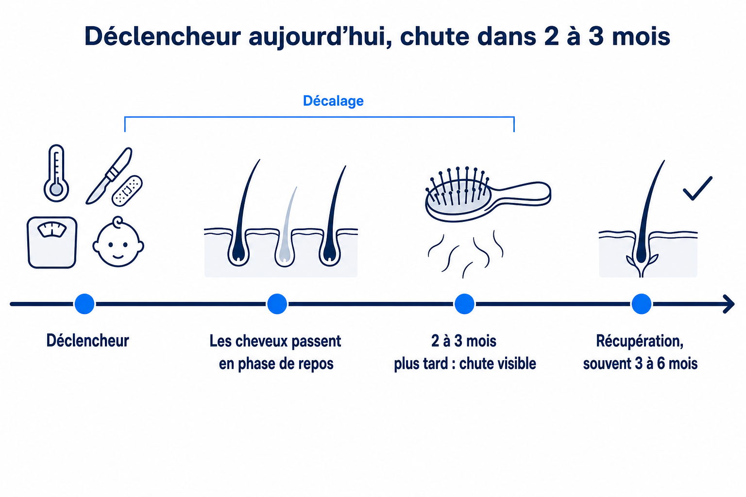 Axe du temps : un déclencheur comme une fièvre, une opération, un régime ou un accouchement, puis passage des cheveux en phase de repos, chute visible après 2 à 3 mois et récupération