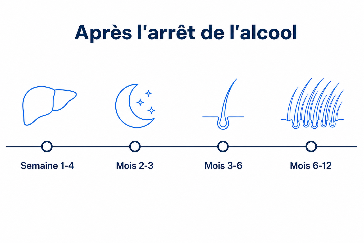 Chronologie après l'arrêt de l'alcool, avec quatre étapes de la semaine 1 au mois 12 et une densité capillaire croissante