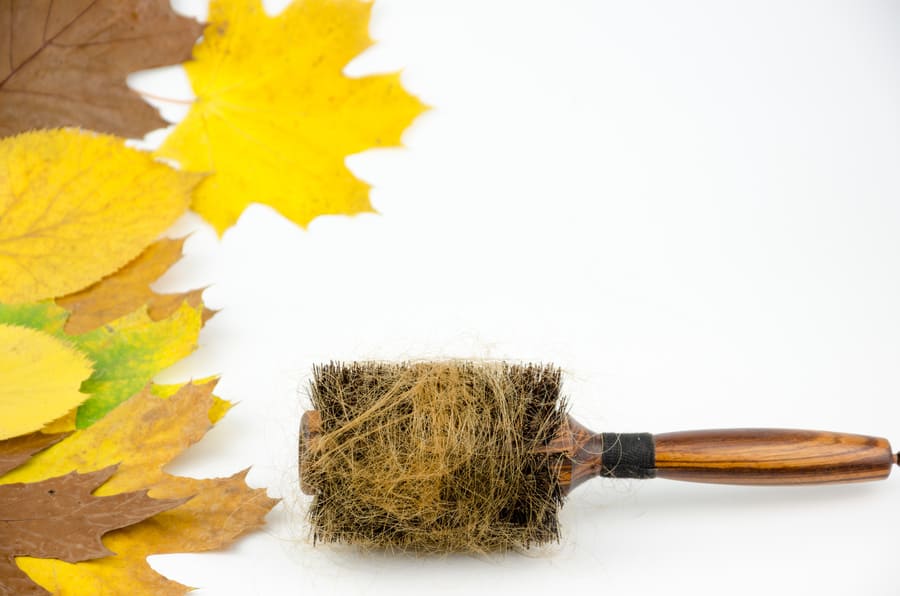 a volte la perdita dei capelli in autunno è dovuta al cambio di stagione