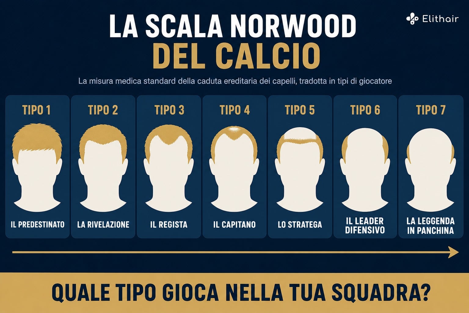 Infografica: la scala Norwood del calcio, sette tipi di giocatore dal predestinato alla leggenda in panchina