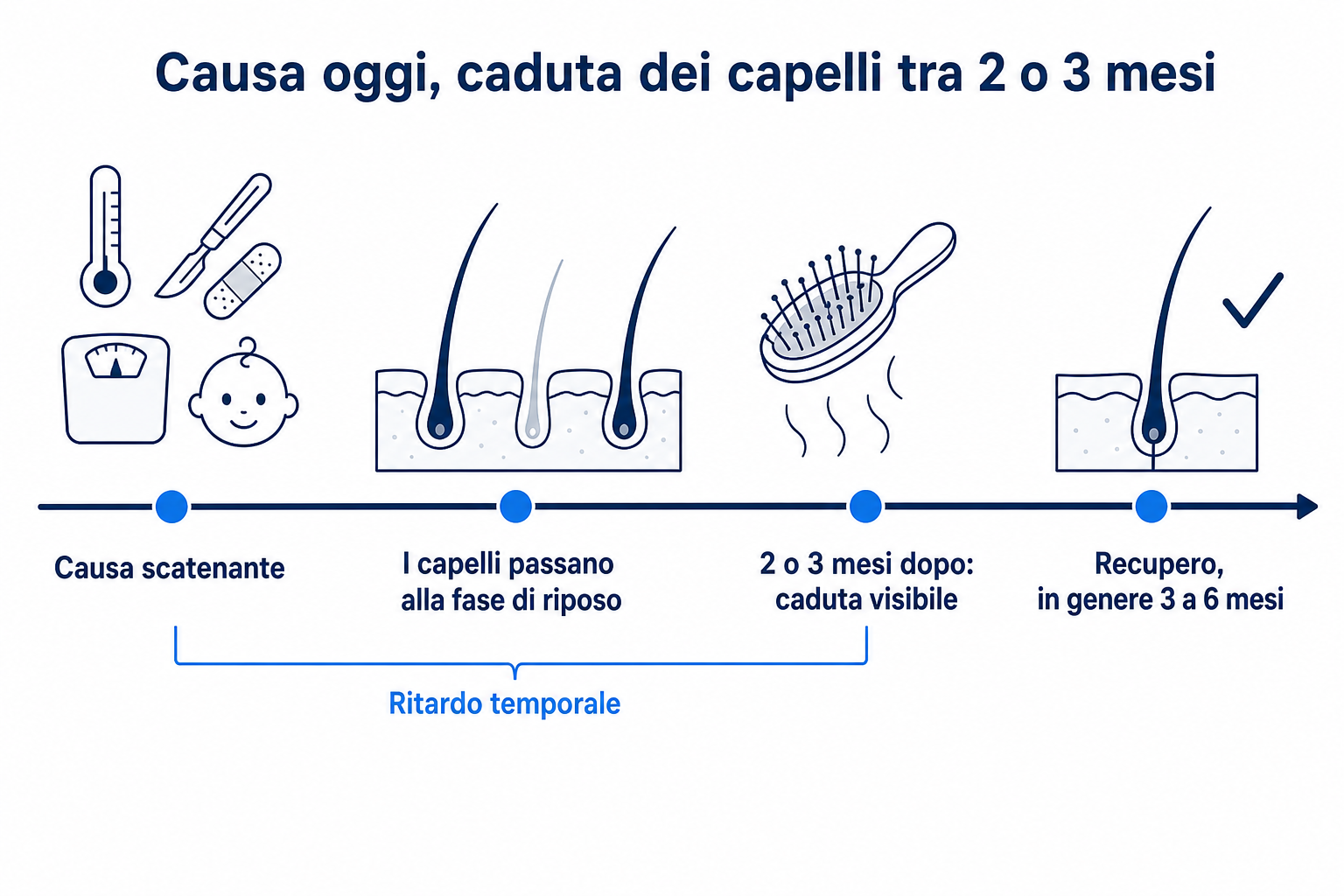 Linea del tempo: cause come febbre, intervento chirurgico, dieta o parto, poi il passaggio dei capelli alla fase di riposo, caduta visibile dopo 2 o 3 mesi e recupero