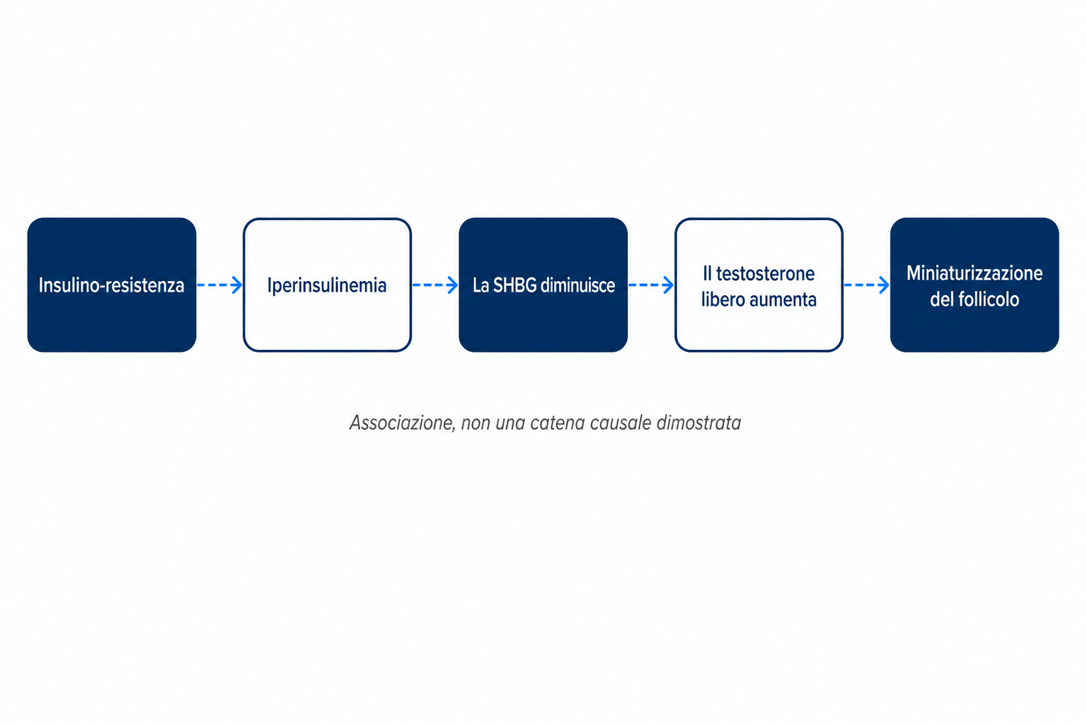 Diagramma della catena discussa che va dall'insulino-resistenza all'iperinsulinemia e alla SHBG fino alla miniaturizzazione del follicolo pilifero