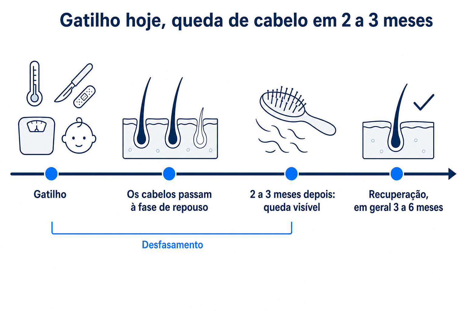 Linha temporal: gatilho como febre, cirurgia, dieta ou parto, depois a passagem dos cabelos à fase de repouso, queda visível após 2 a 3 meses e recuperação