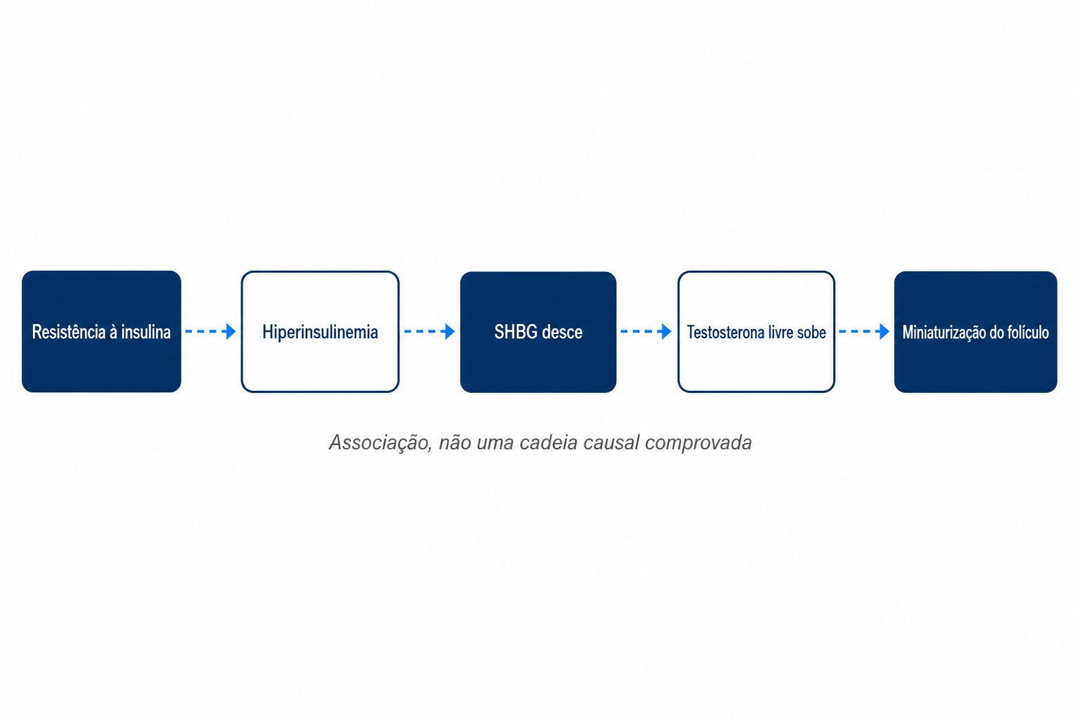 Diagrama da cadeia discutida, da resistência à insulina à hiperinsulinemia e à SHBG, até à miniaturização do folículo capilar