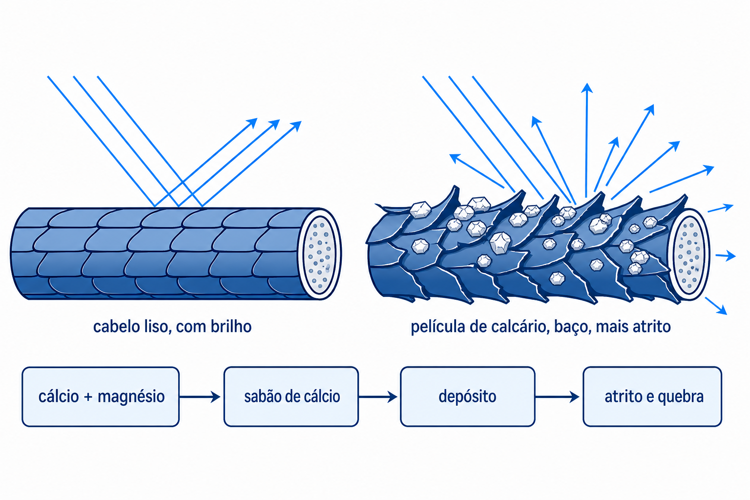 Ilustração: fibra capilar com cutícula lisa em comparação com fibra coberta por uma película de calcário da água dura