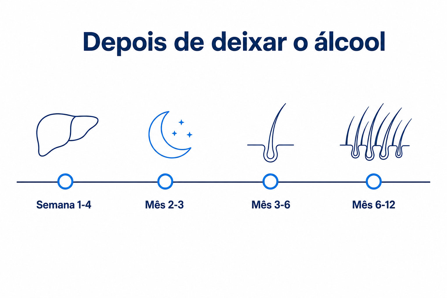 Cronologia depois de deixar o álcool, com quatro etapas da semana 1 ao mês 12 e densidade capilar crescente