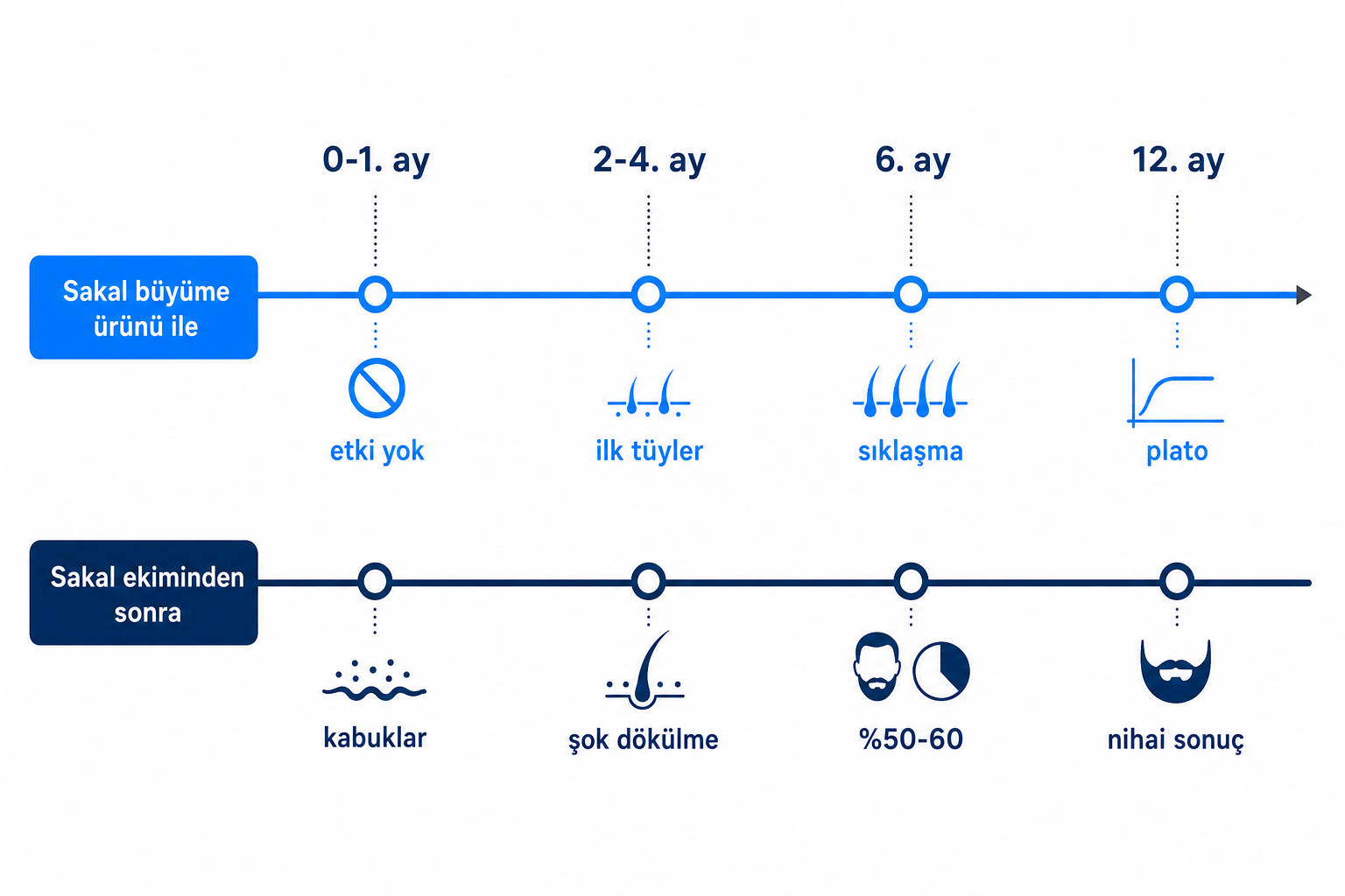 Sakal büyüme ürünü ile sakal ekimini 0. aydan 12. aya kadar karşılaştıran sakal büyüme zaman çizelgesi infografiği