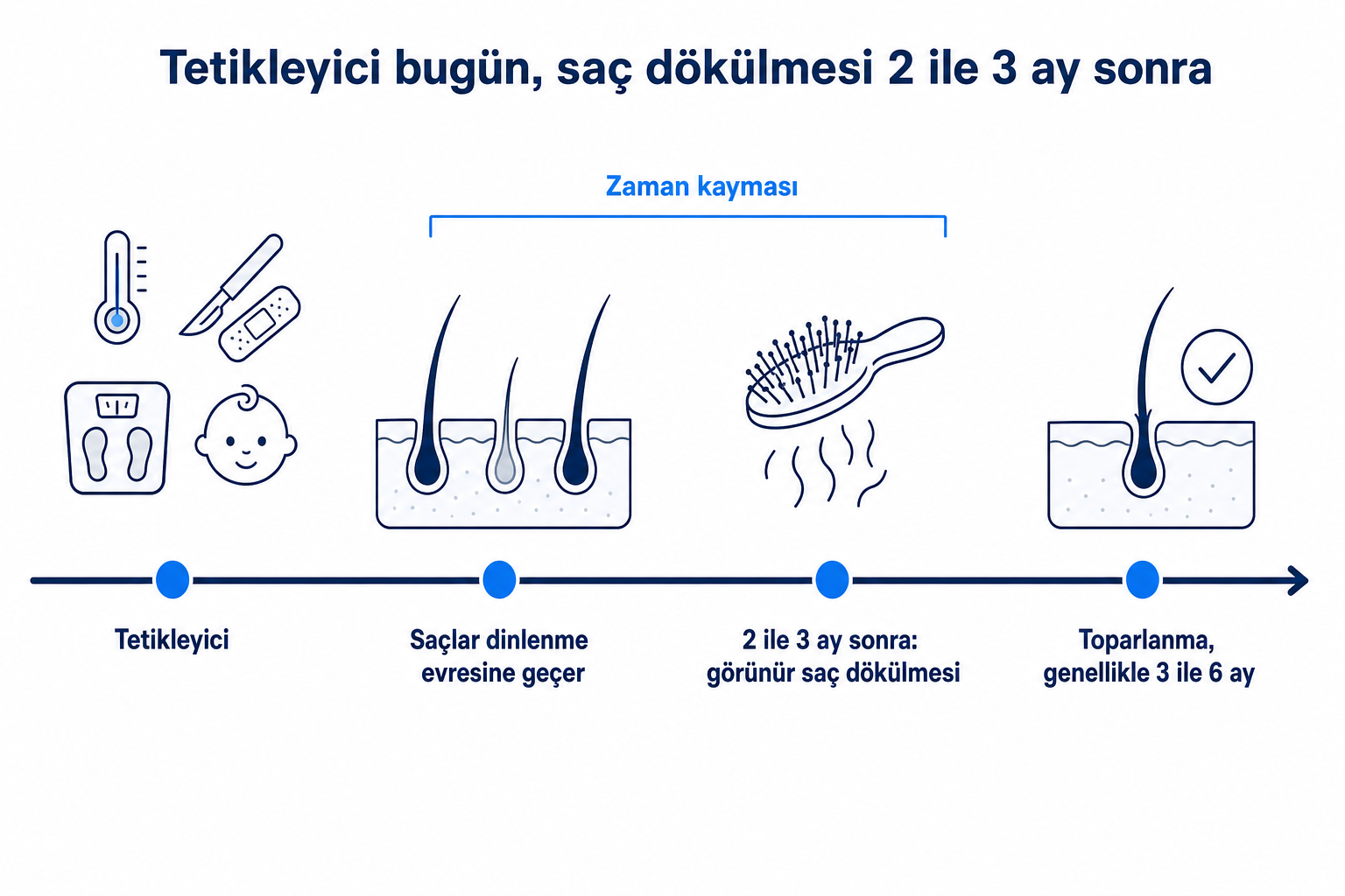 Zaman çizelgesi: ateş, ameliyat, diyet ya da doğum gibi bir tetikleyici, ardından saçların dinlenme evresine geçmesi, 2 ile 3 ay sonra görünür saç dökülmesi ve toparlanma