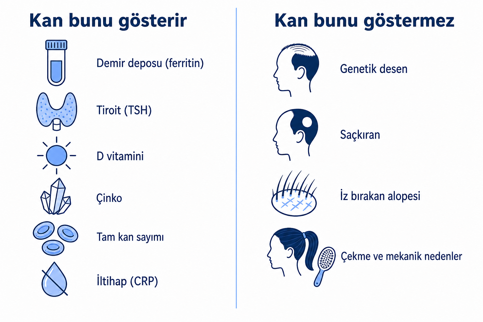 İnfografik: Saç dökülmesinde kan tahlili neyi gösterir, neyi göstermez