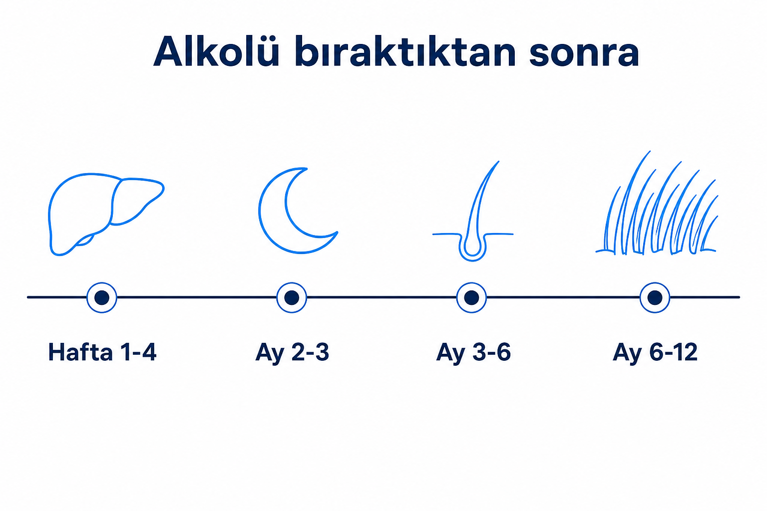 Alkolü bıraktıktan sonraki zaman çizelgesi: 1. haftadan 12. aya dört durak ve artan saç yoğunluğu