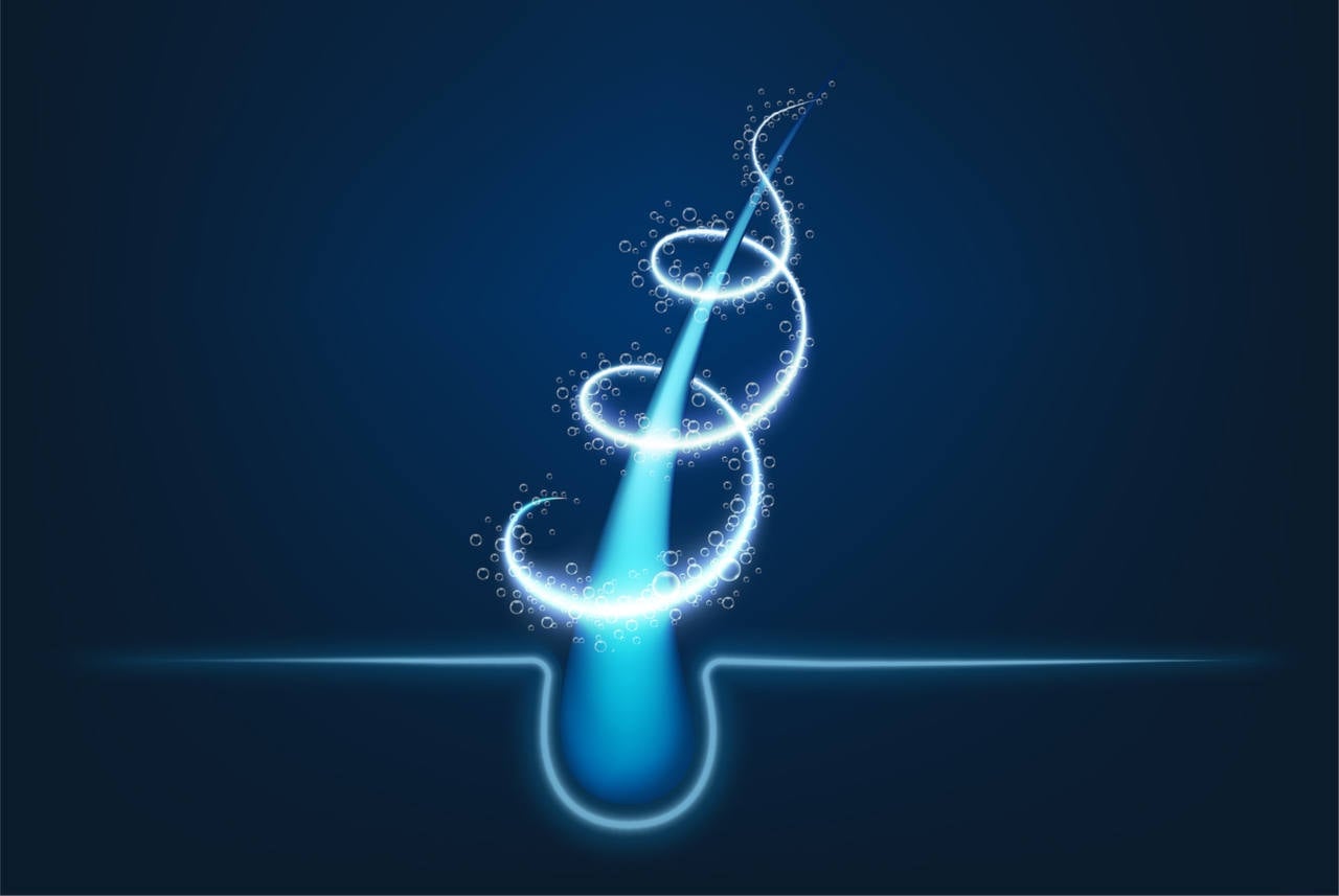 discover the role of the hair follicle
