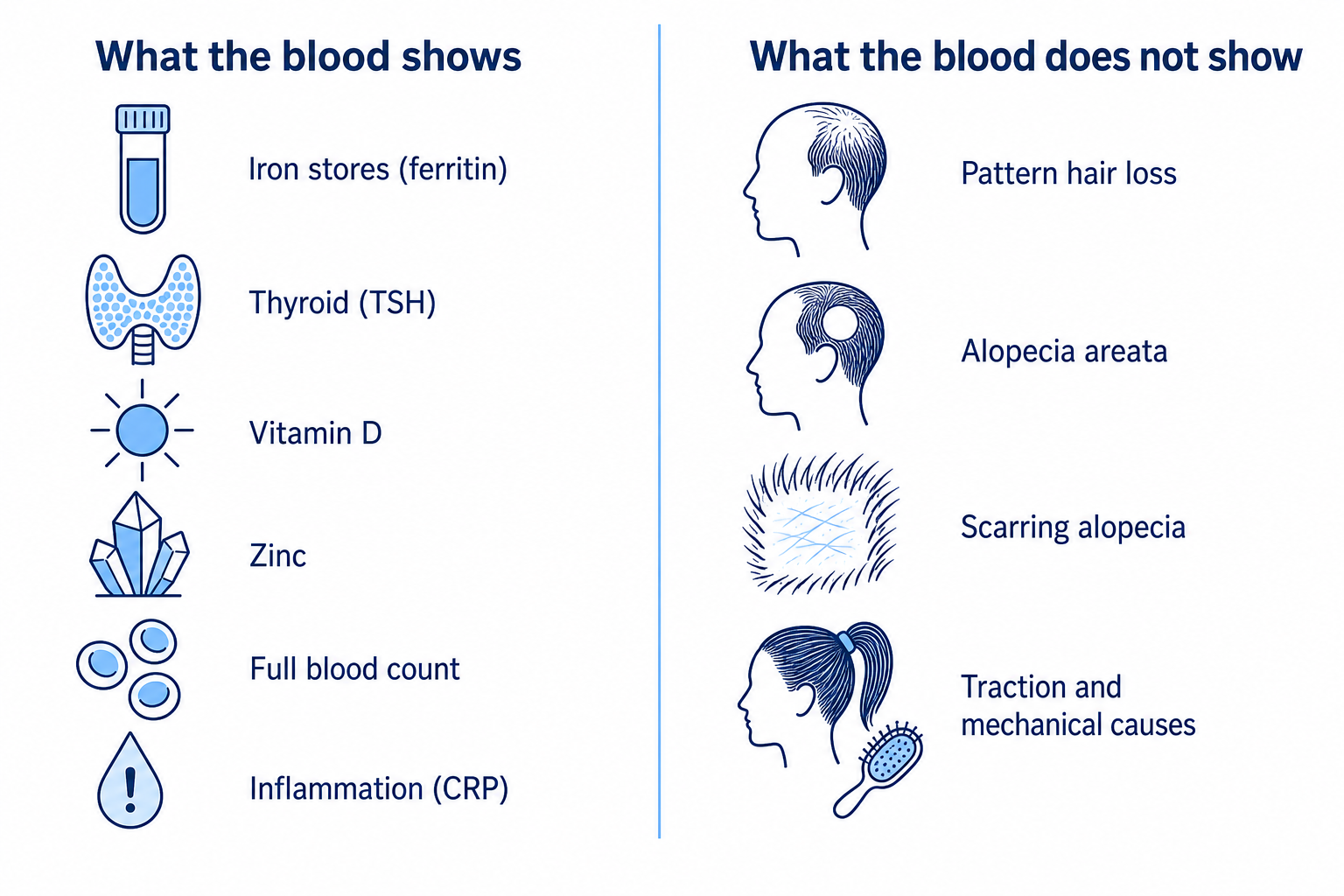 Infographic: what a blood test in hair loss shows and what it does not show