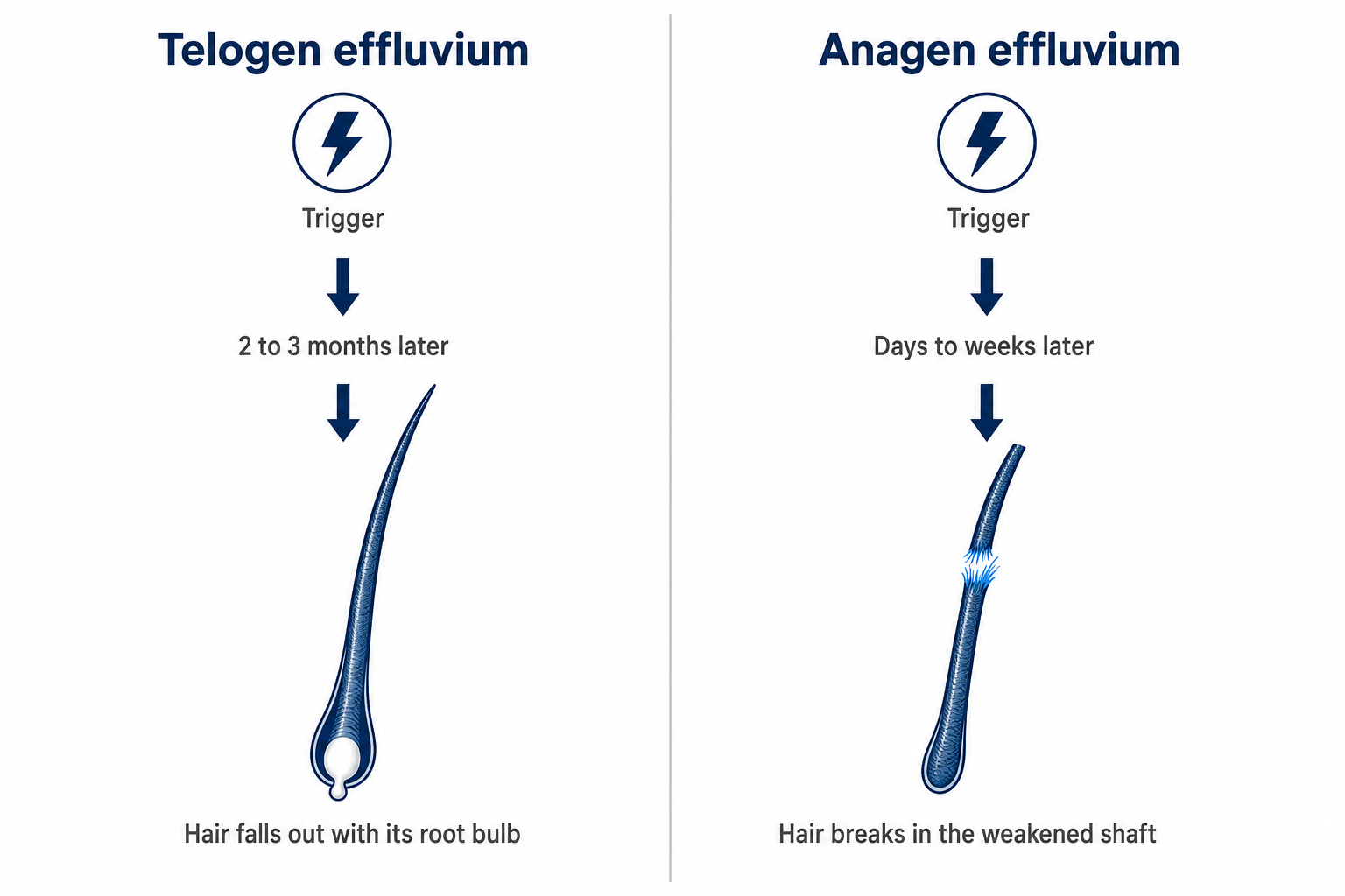 glutathione levels in telegium effluvium What is Telogen Effluvium? Causes, Symptoms & Solutions Cagrilintide Peptide Dosing Guide: Skin Glow Soap Capsules:30