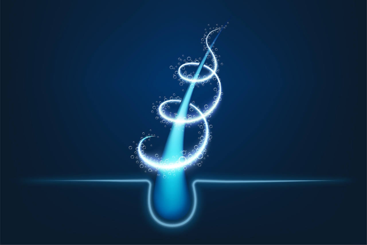 discover the role of the hair follicle
