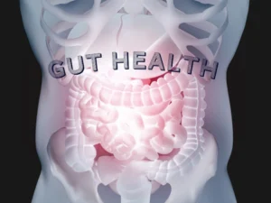 A 3D illustration of the human digestive system with the words “gut health” overlaid across it.