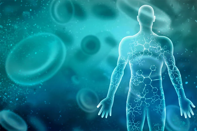 An illustration of cell regeneration in the body.