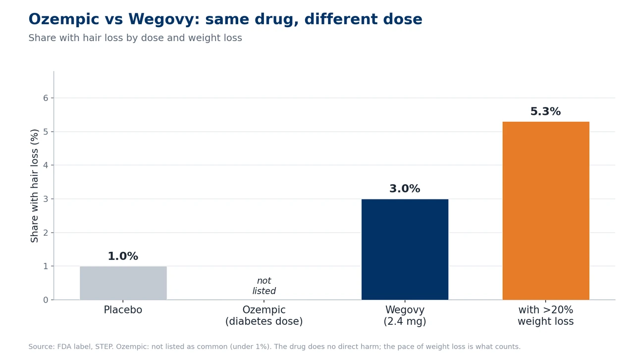 Bar chart of hair-loss incidence on semaglutide: Ozempic diabetes dose not listed, Wegovy 3%, more than 20% weight loss 5.3%, placebo 1%