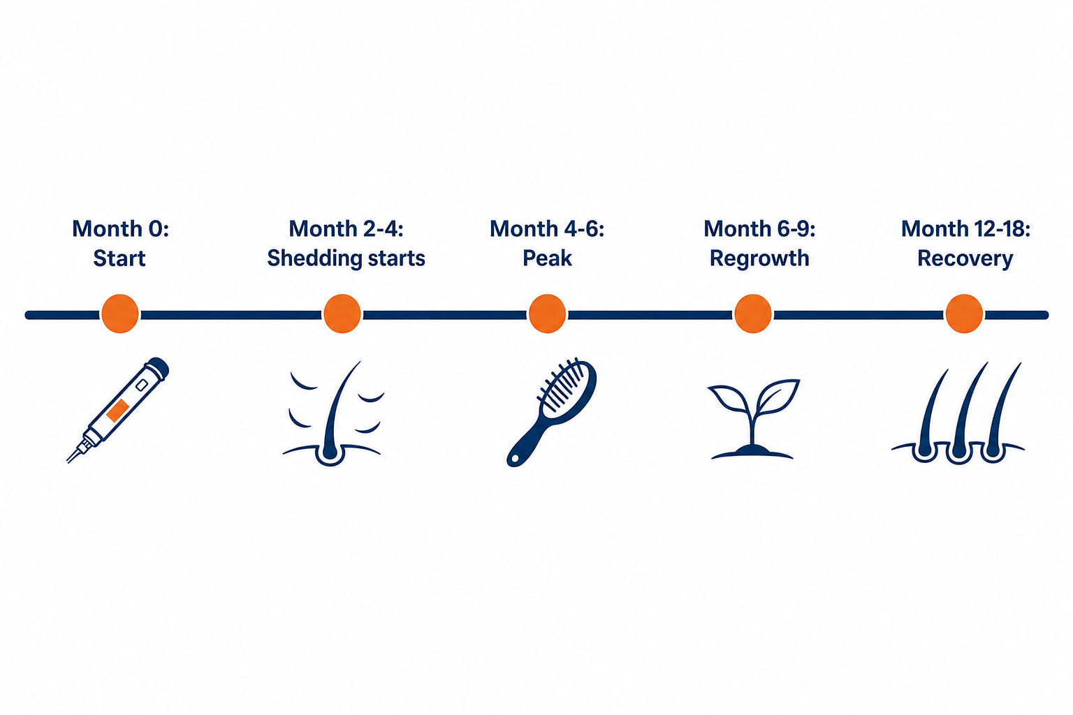 Timeline of Ozempic-related hair shedding from month zero to recovery at 12 to 18 months.
