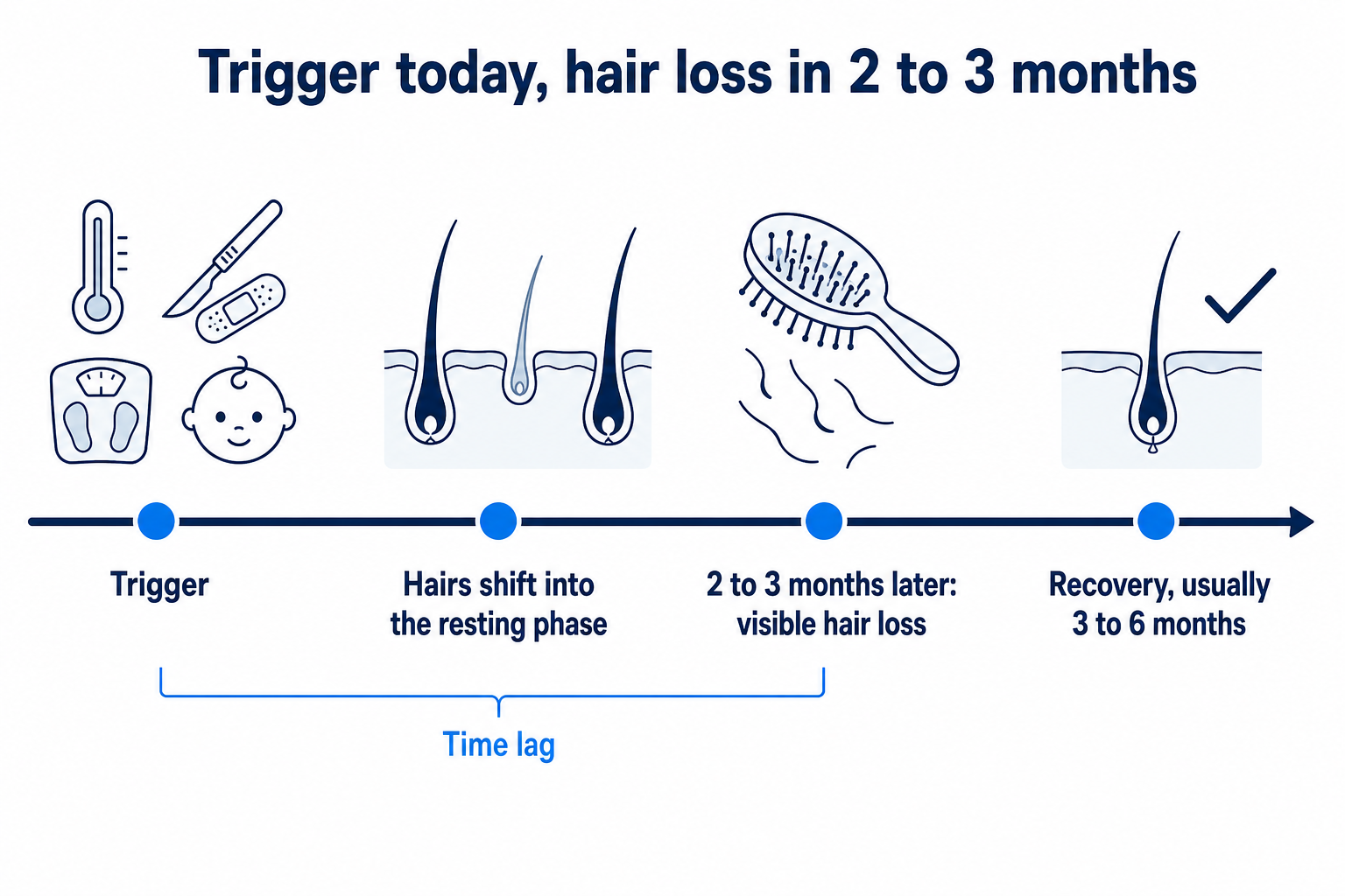 Timeline: a trigger such as fever, surgery, dieting or childbirth, then hairs shifting into the resting phase, visible hair loss after 2 to 3 months, and recovery