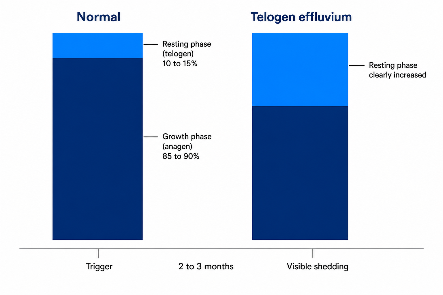 Diagram: normal hair cycle with 85 to 90 percent in the growth phase versus an increased resting phase in telogen effluvium