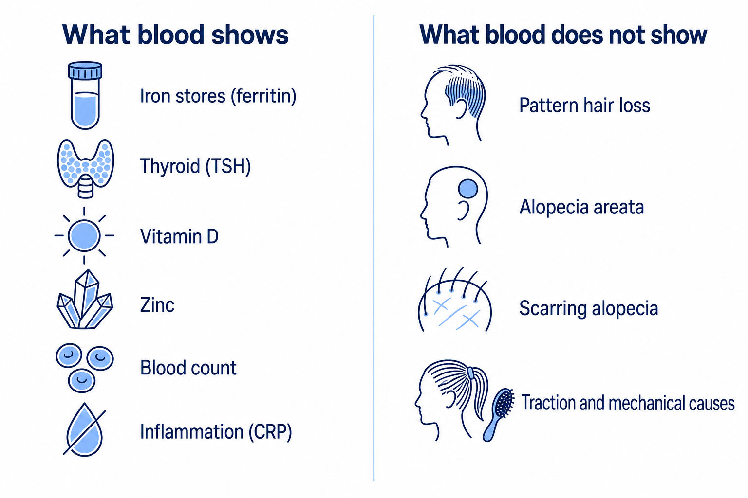 Infographic: what a blood test in hair loss shows and what it does not show