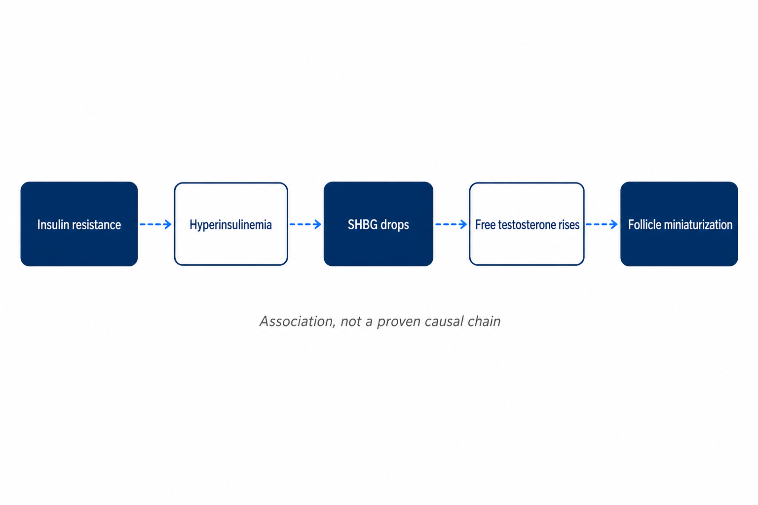 Diagram of the discussed chain from insulin resistance through hyperinsulinemia and SHBG to miniaturization of the hair follicle