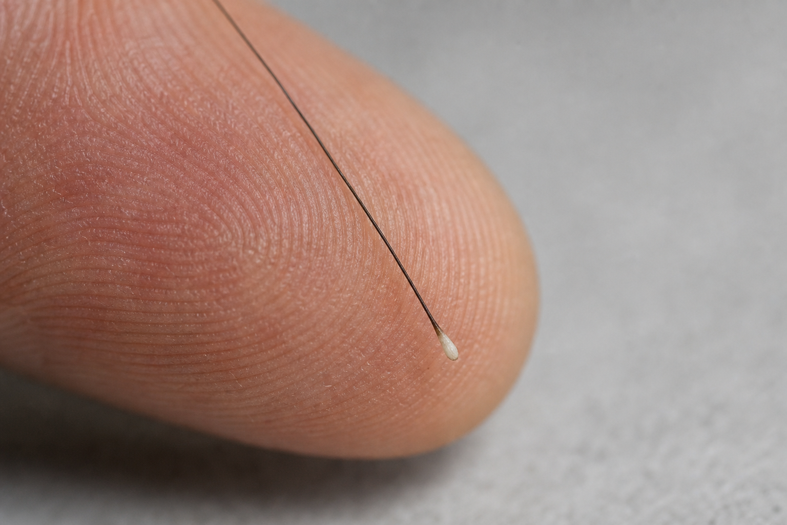 Macro shot of a shed hair on a fingertip with a small whitish keratin thickening at the end