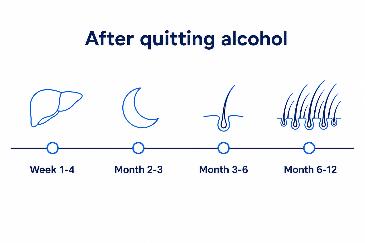 Timeline after quitting alcohol with four stages from week 1 to month 12 and increasing hair density