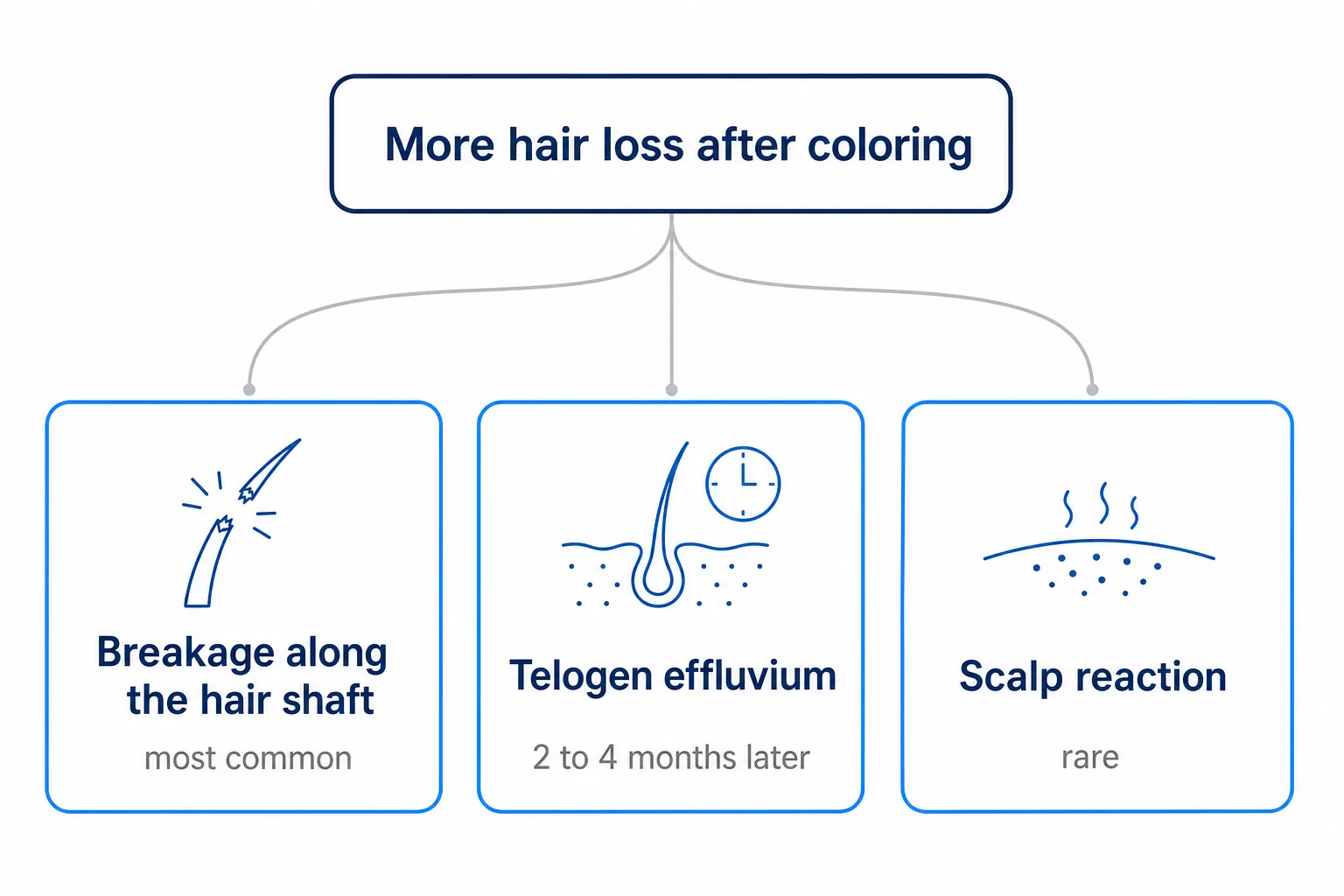 Infographic showing three explanations for more hair loss after coloring: breakage, telogen effluvium and a scalp reaction
