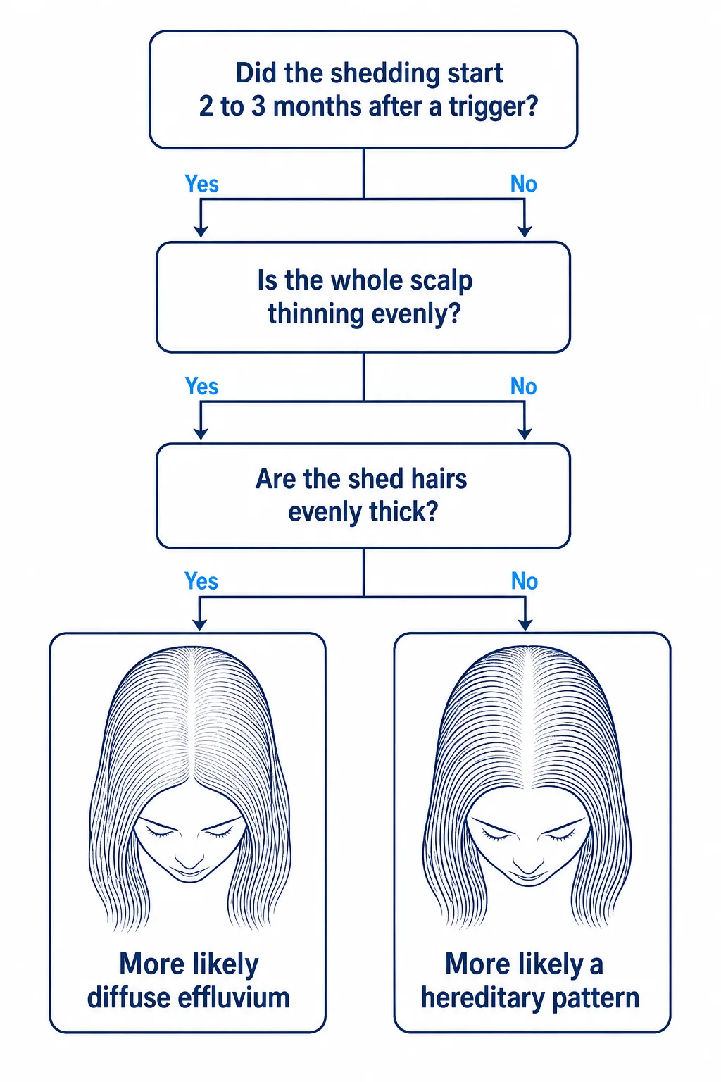 Decision tree: diffuse effluvium or hereditary pattern with hair loss from the pill
